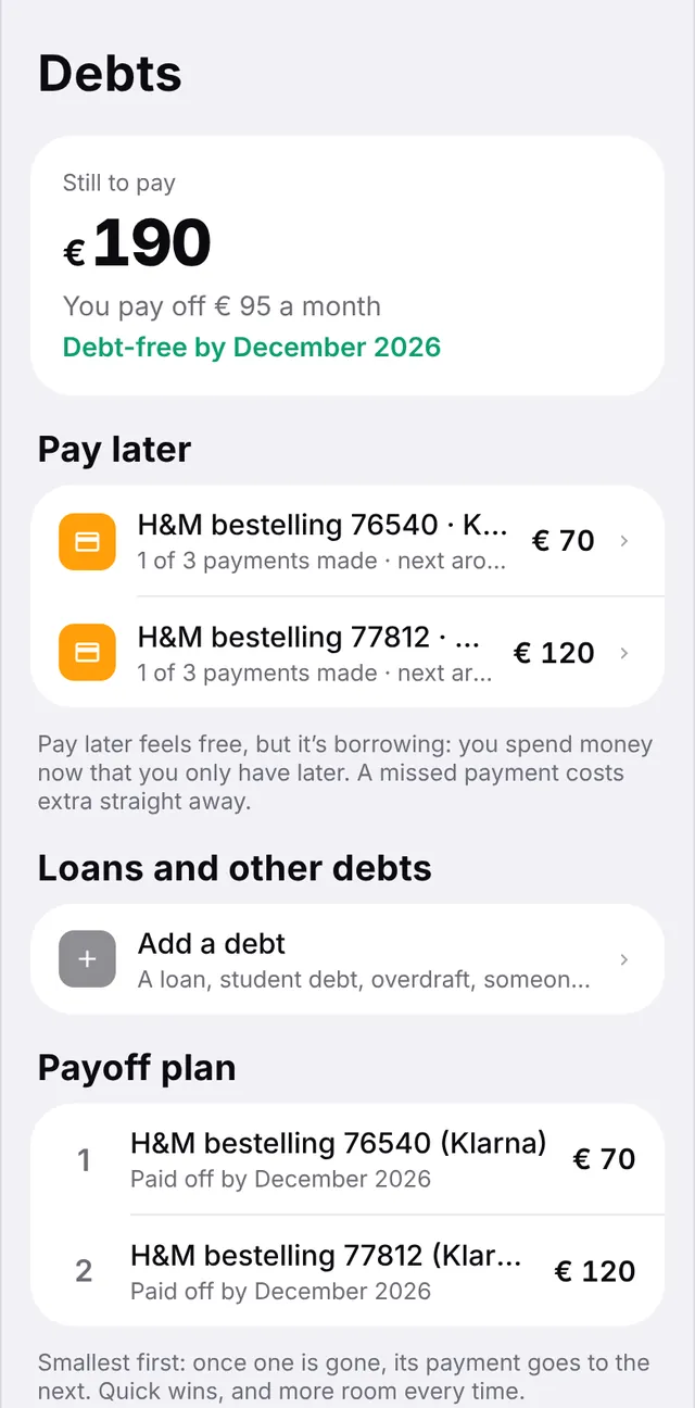 Overview of debts and pay-later payments, with a payoff plan